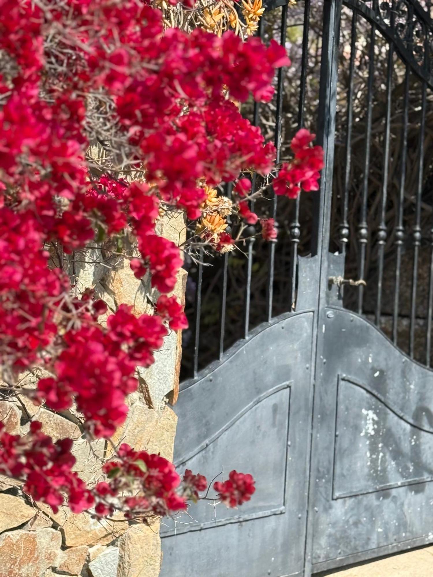 Lovely Home 5 Min Walk To The Beach, 3 Bedrooms Ample Outdoor Relax And Wifi Capitana Exteriér fotografie